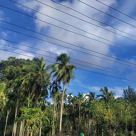 Hilton Garden Homestay Port Blair Zewnętrze zdjęcie