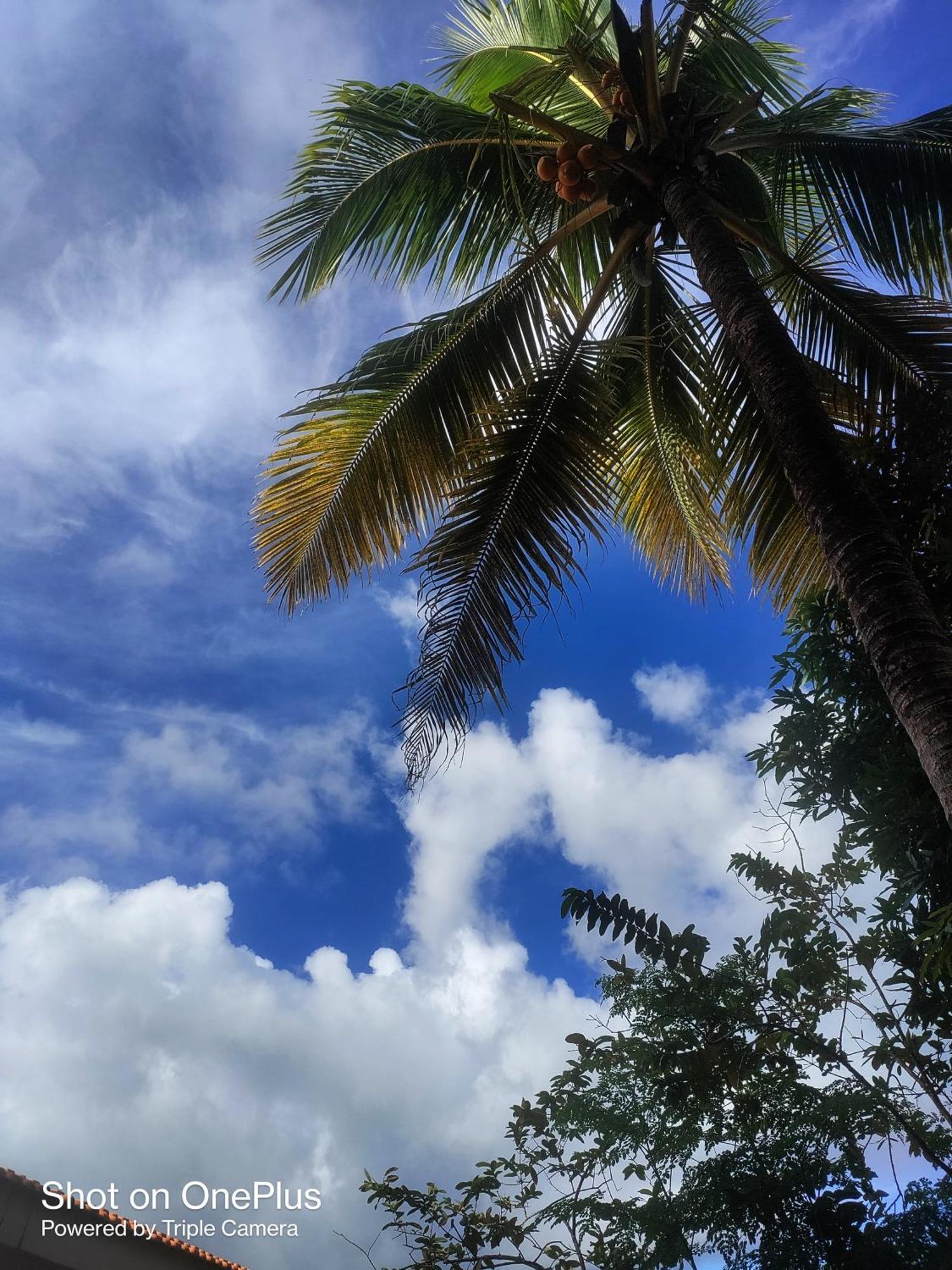 Hilton Garden Homestay Port Blair Zewnętrze zdjęcie