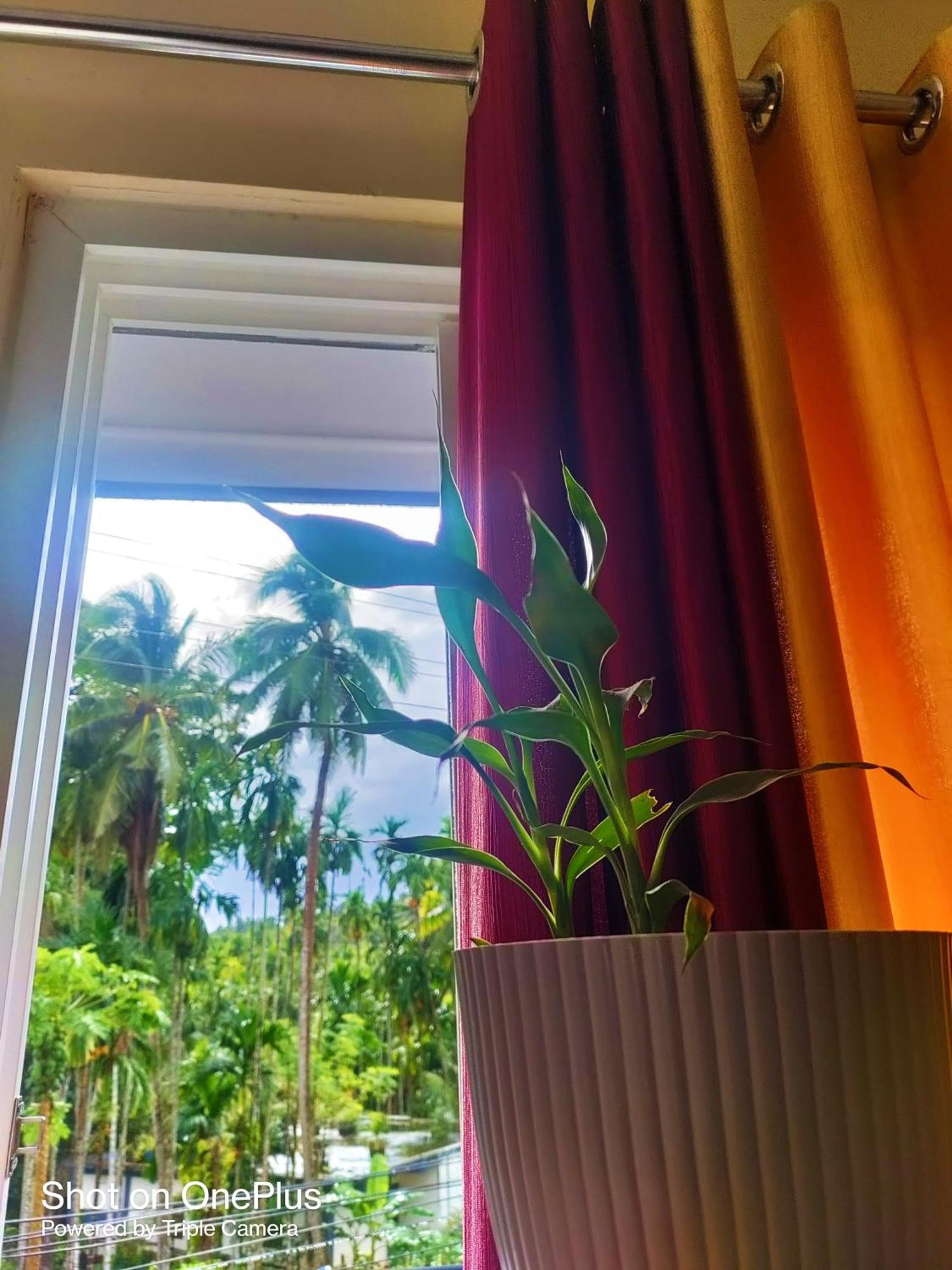 Hilton Garden Homestay Port Blair Zewnętrze zdjęcie